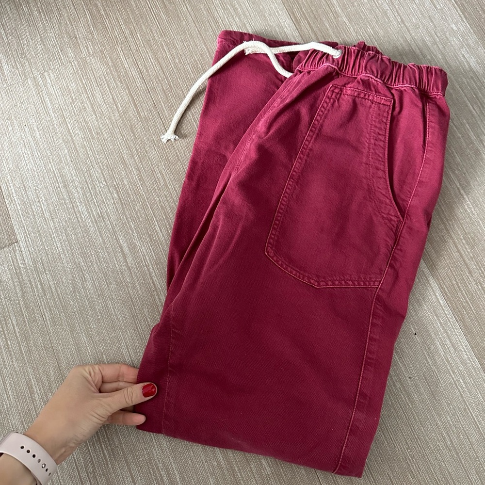 Anthropologie Pilcro pants never worn